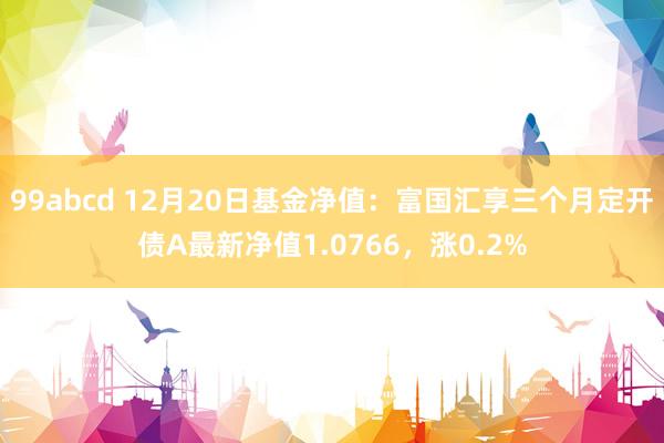 99abcd 12月20日基金净值：富国汇享三个月定开债A最新净值1.0766，涨0.2%