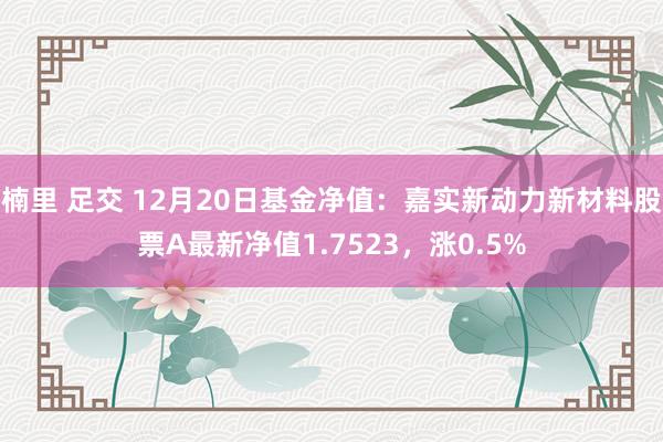 楠里 足交 12月20日基金净值：嘉实新动力新材料股票A最新净值1.7523，涨0.5%