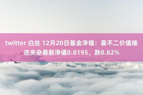 twitter 白丝 12月20日基金净值：嘉不二价值臻选夹杂最新净值0.8195，跌0.82%