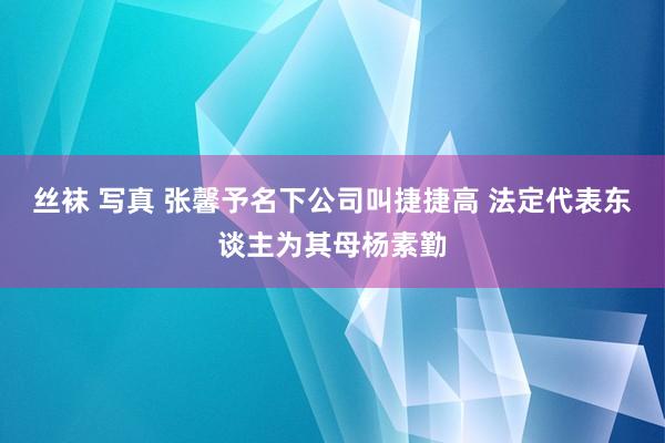 丝袜 写真 张馨予名下公司叫捷捷高 法定代表东谈主为其母杨素勤