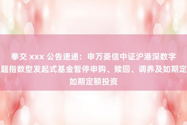 拳交 xxx 公告速递：申万菱信中证沪港深数字经济主题指数型发起式基金暂停申购、赎回、调养及如期定额投资