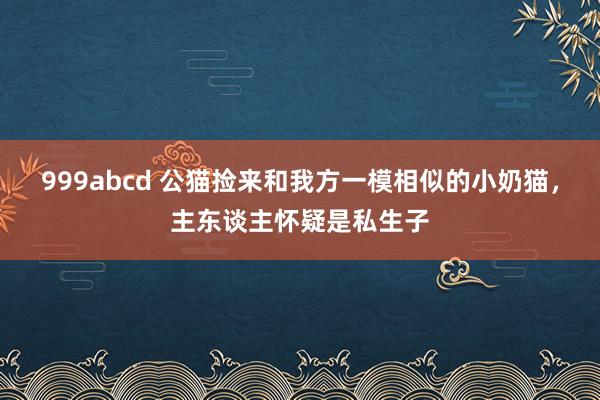 999abcd 公猫捡来和我方一模相似的小奶猫，主东谈主怀疑是私生子