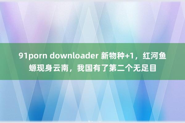 91porn downloader 新物种+1，红河鱼螈现身云南，我国有了第二个无足目