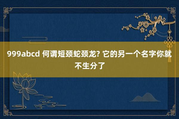 999abcd 何谓短颈蛇颈龙? 它的另一个名字你就不生分了