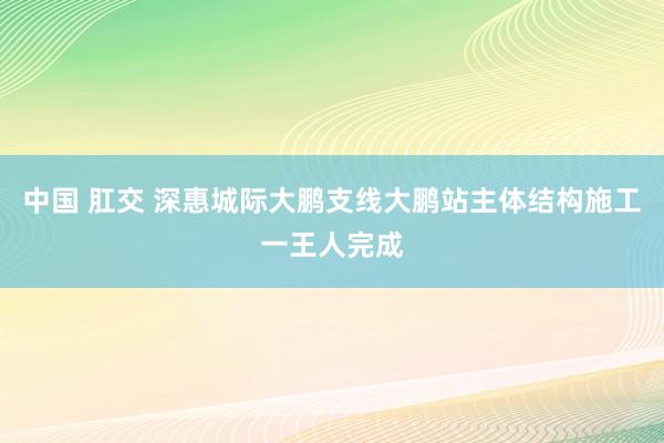 中国 肛交 深惠城际大鹏支线大鹏站主体结构施工一王人完成