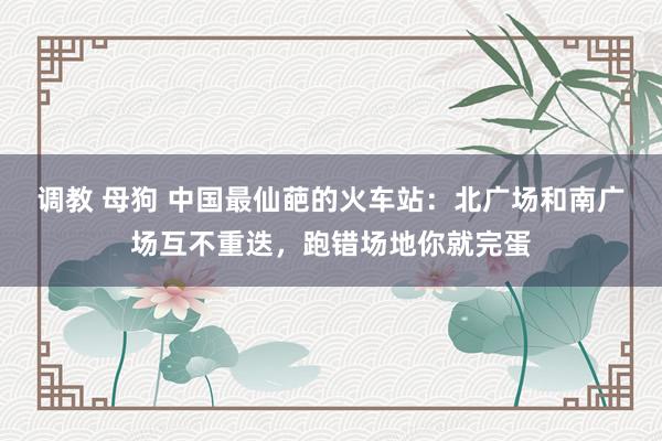 调教 母狗 中国最仙葩的火车站：北广场和南广场互不重迭，跑错场地你就完蛋