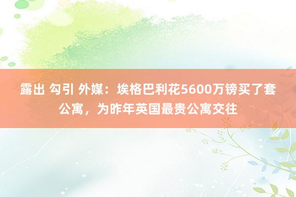 露出 勾引 外媒：埃格巴利花5600万镑买了套公寓，为昨年英国最贵公寓交往