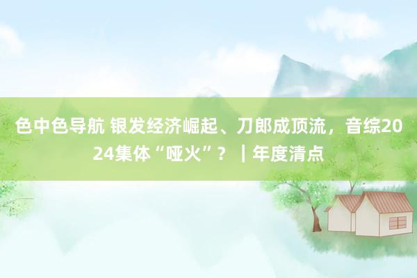 色中色导航 银发经济崛起、刀郎成顶流，音综2024集体“哑火”？｜年度清点