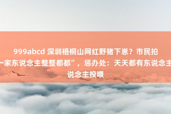 999abcd 深圳梧桐山网红野猪下崽？市民拍到“一家东说念主整整都都”，惩办处：天天都有东说念主投喂