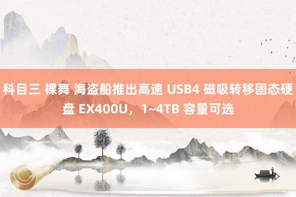 科目三 裸舞 海盗船推出高速 USB4 磁吸转移固态硬盘 EX400U，1~4TB 容量可选