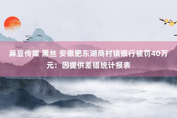 麻豆传媒 黑丝 安徽肥东湖商村镇银行被罚40万元：因提供差错统计报表