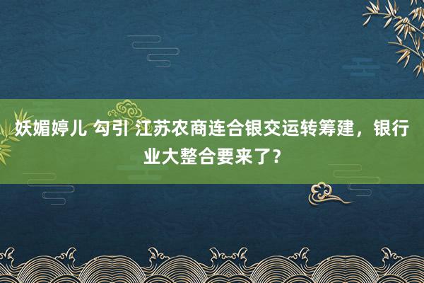 妖媚婷儿 勾引 江苏农商连合银交运转筹建，银行业大整合要来了？