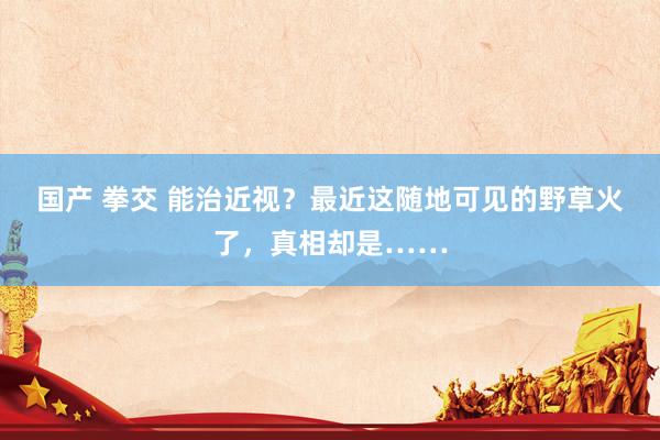 国产 拳交 能治近视？最近这随地可见的野草火了，真相却是……