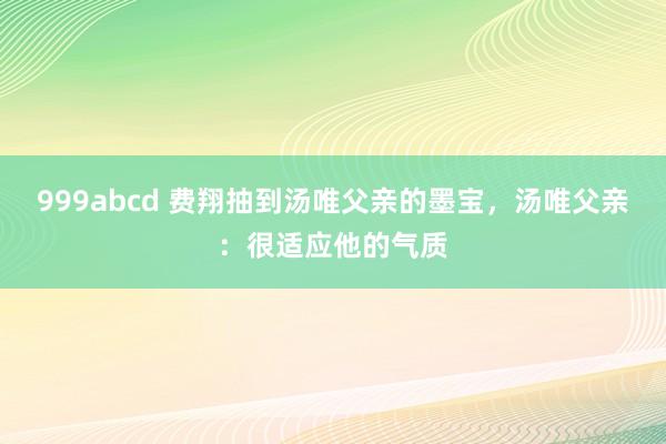 999abcd 费翔抽到汤唯父亲的墨宝，汤唯父亲：很适应他的气质