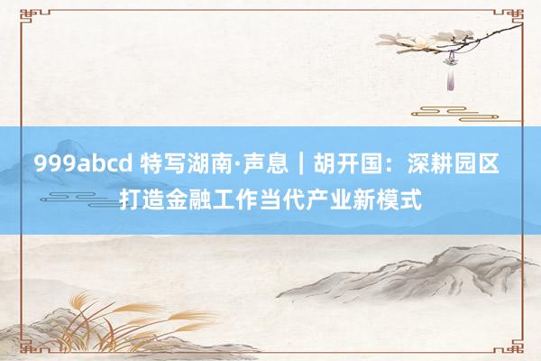 999abcd 特写湖南·声息｜胡开国：深耕园区 打造金融工作当代产业新模式