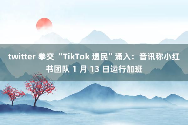 twitter 拳交 “TikTok 遗民”涌入：音讯称小红书团队 1 月 13 日运行加班